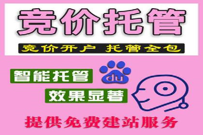 百度推广实战案例：打造爆款广告的秘密武器